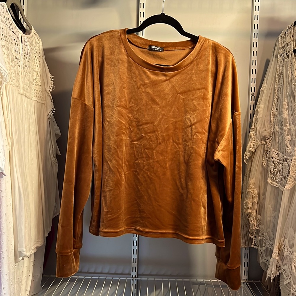 Neutral velvet cropped long sleeve shirt